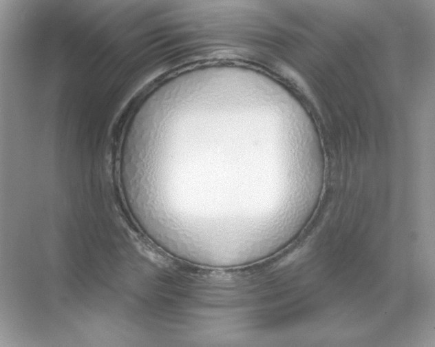 X0000068730827200605192317