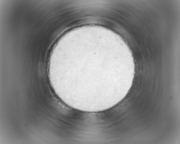 X0000068730828200605192317