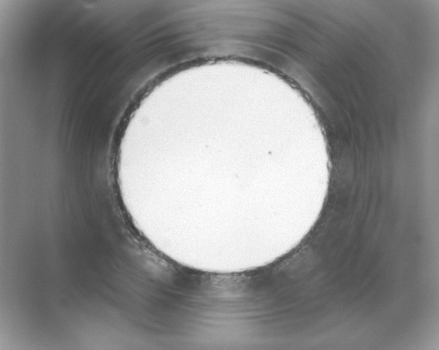 X0000068730832200605192317