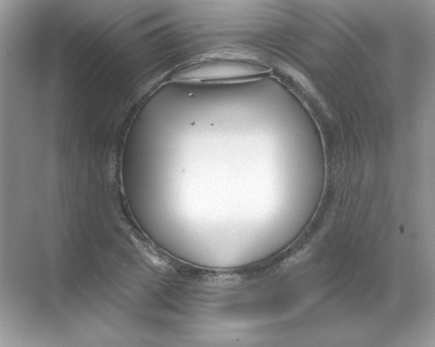 X0000068730833200605192317