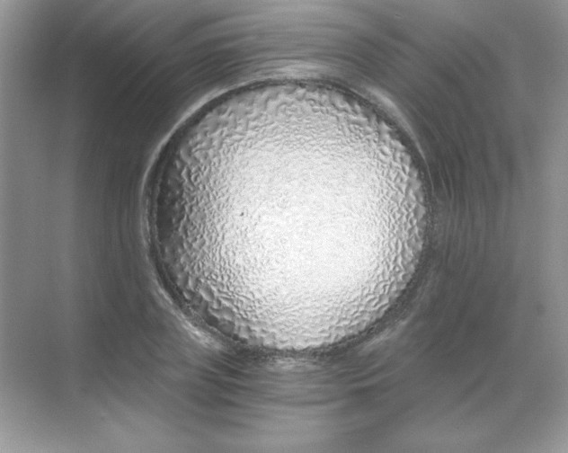 X0000068730835200605192317