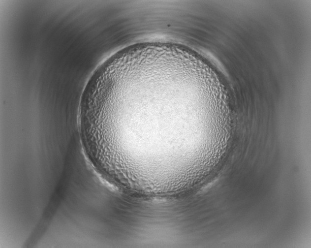 X0000068730839200605192317