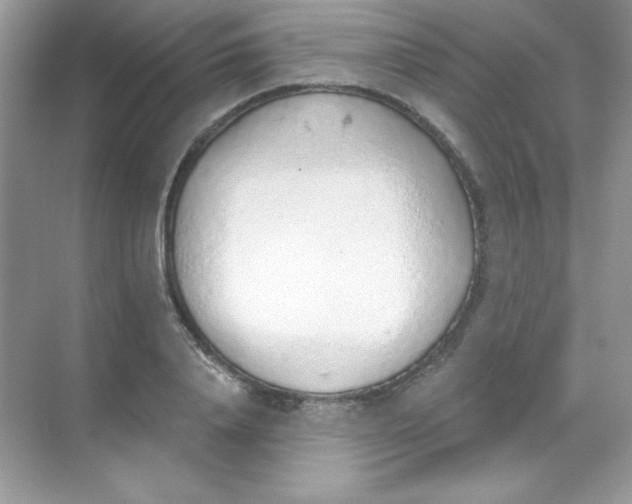 X0000068730840200605192317