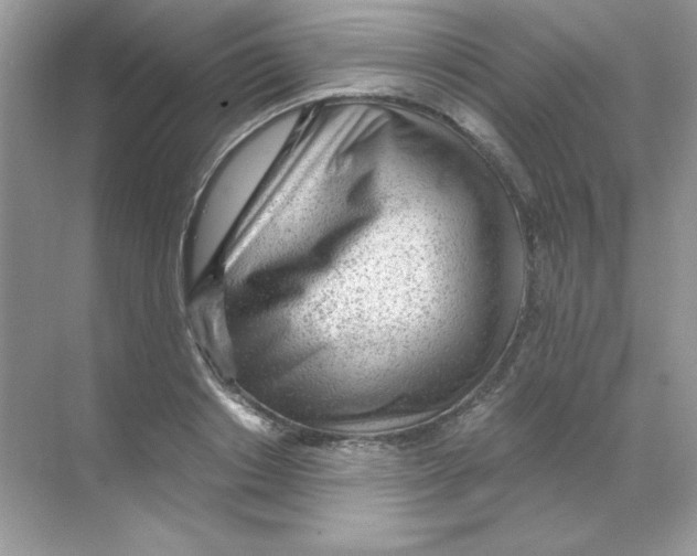 X0000068730842200605192317