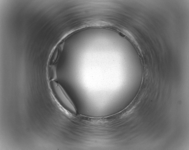 X0000068730843200605192317