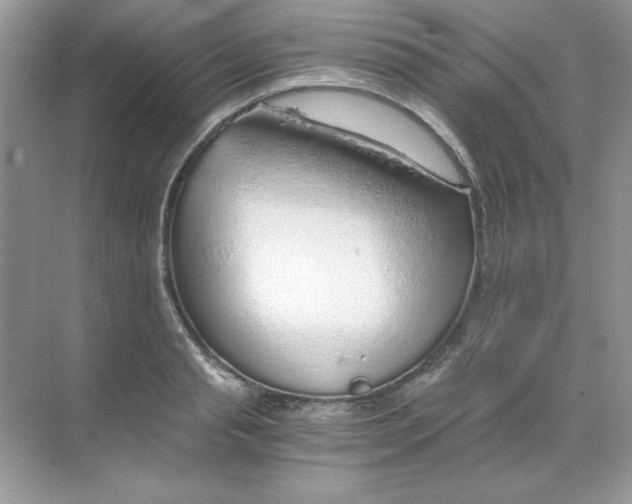 X0000068730845200605192317