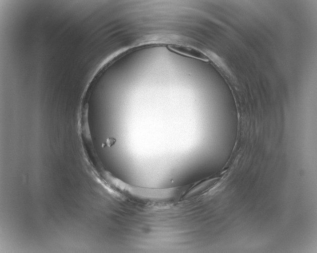 X0000068730846200605192317