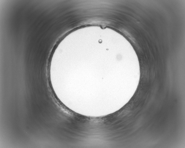 X0000068730848200605192317