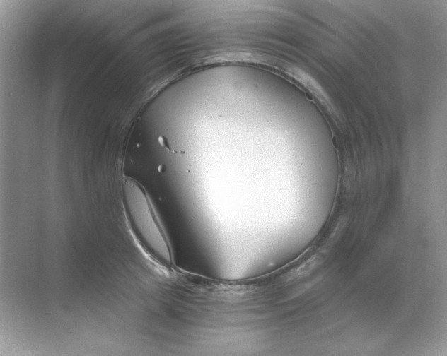 X0000068730849200605192317