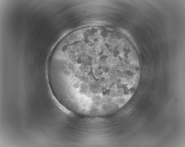 X0000068730851200605192317