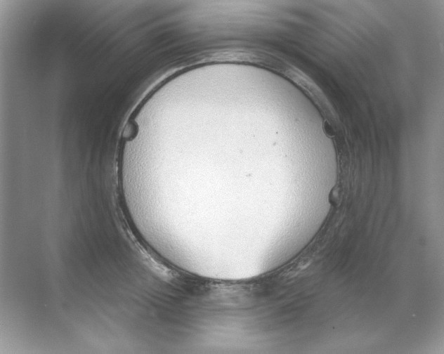 X0000068730852200605192317