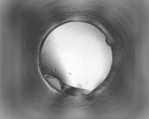 X0000068730853200605192317