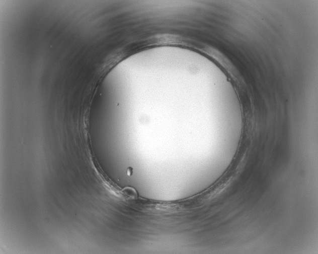 X0000068730857200605192317