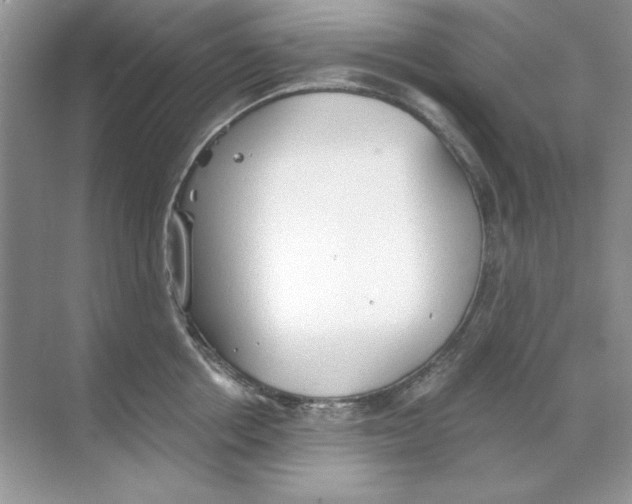 X0000068730858200605192317