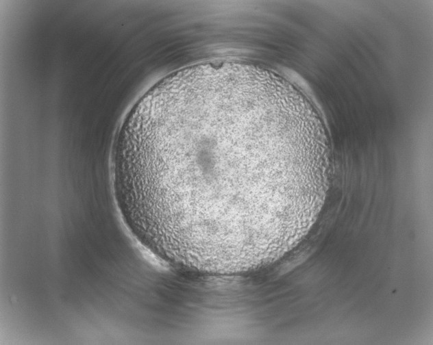 X0000068730859200605192317