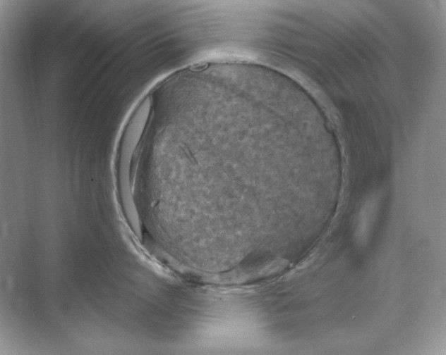 X0000068730864200605192317