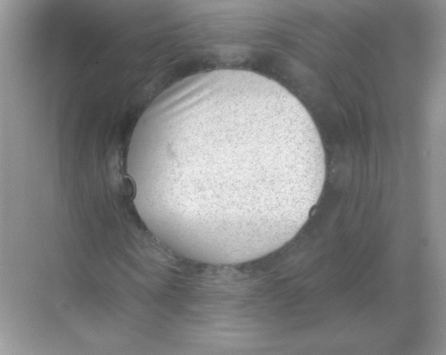 X0000068730866200605192316