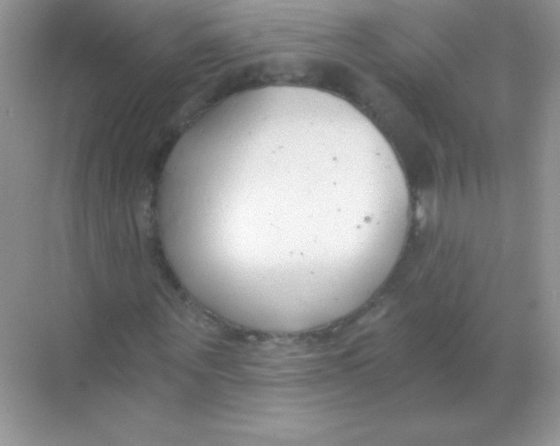 X0000068730867200605192316