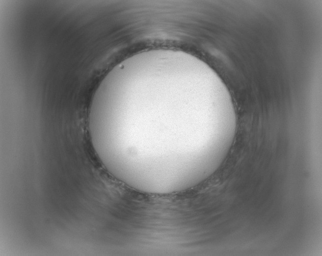 X0000068730870200605192316