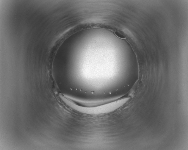 X0000068730872200605192316