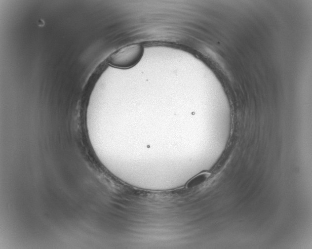 X0000068730875200605192316