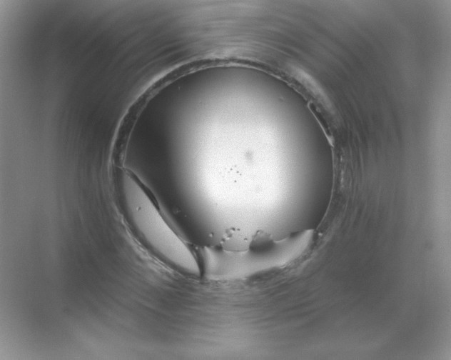 X0000068730876200605192316