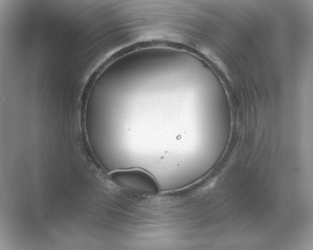 X0000068730877200605192316