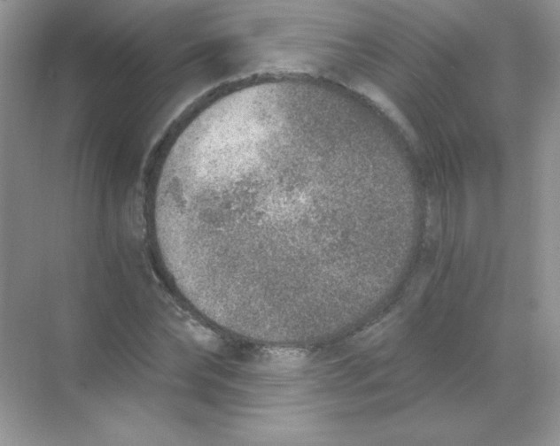 X0000068730878200605192316