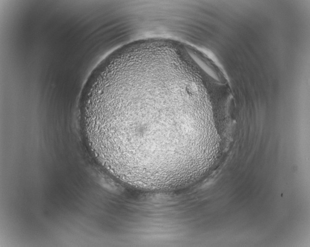 X0000068730879200605192316