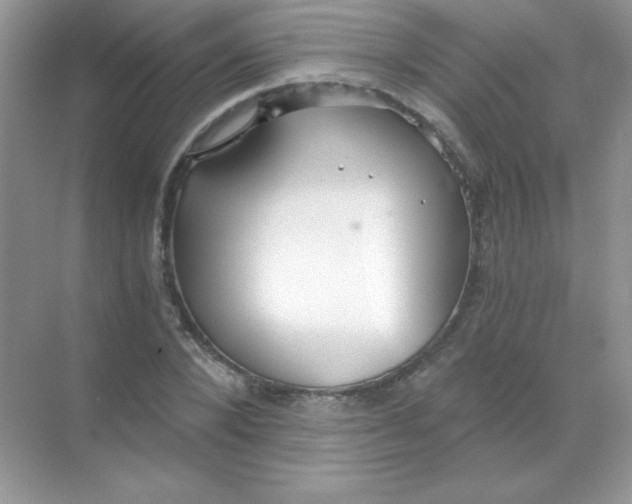 X0000068730880200605192316