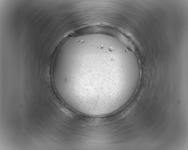 X0000068730881200605192316