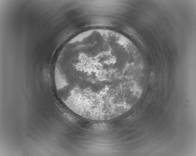 X0000068730882200605192316