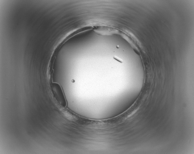 X0000068730885200605192316