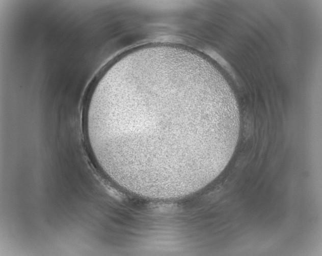 X0000068730886200605192316