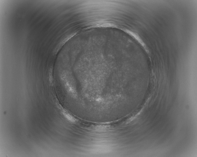 X0000068730889200605192316