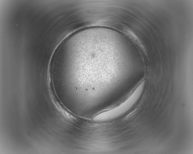 X0000068730892200605192316