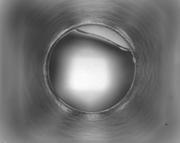 X0000068730893200605192316