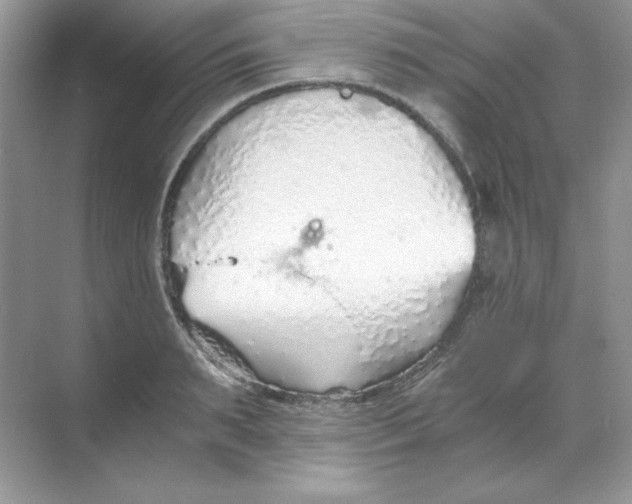 X0000068730895200605192316