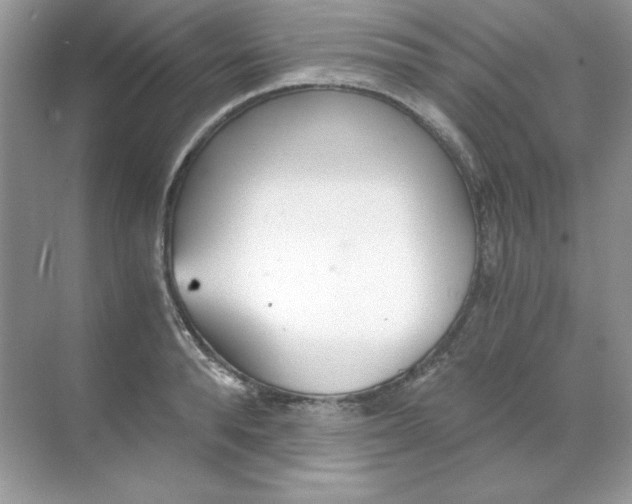 X0000068730896200605192316