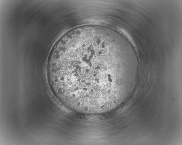 X0000068730899200605192316