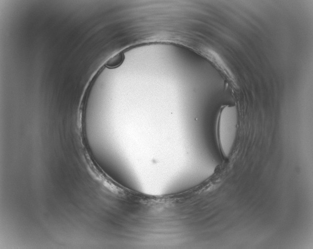 X0000068730900200605192316