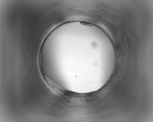 X0000068730901200605192316