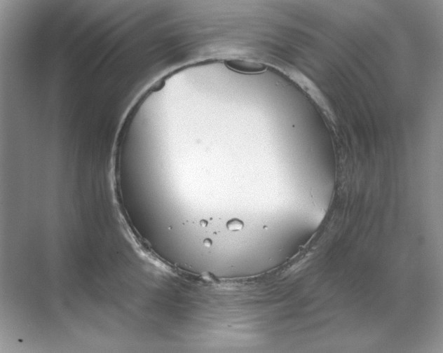 X0000068730904200605192316