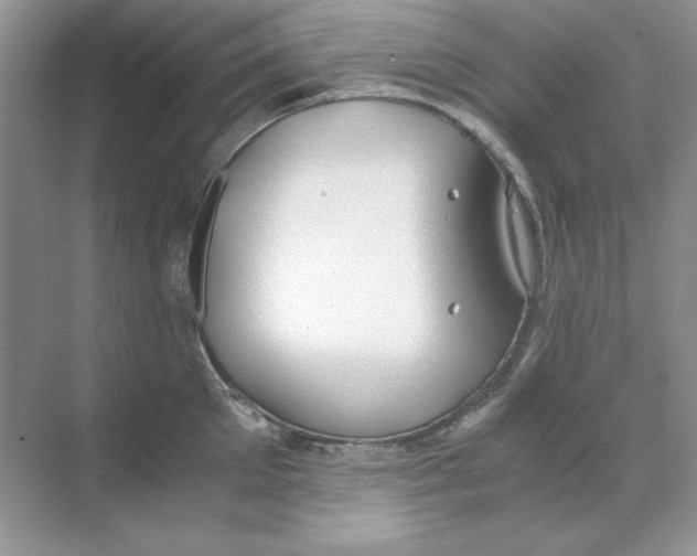 X0000068730905200605192316