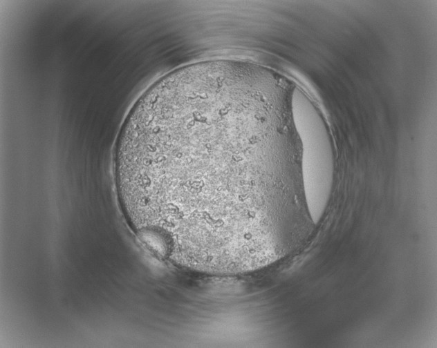 X0000068730907200605192316