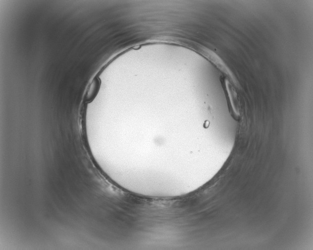 X0000068730908200605192316