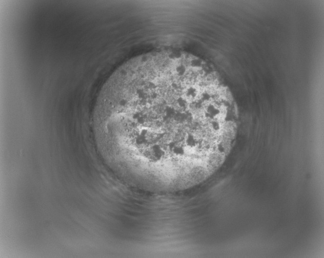 X0000068730913200605192315