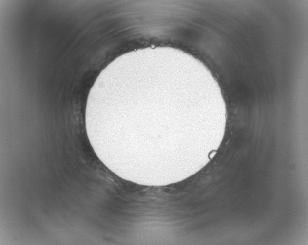 X0000068730918200605192315