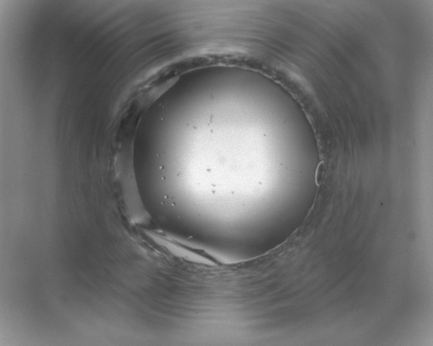 X0000068730920200605192315