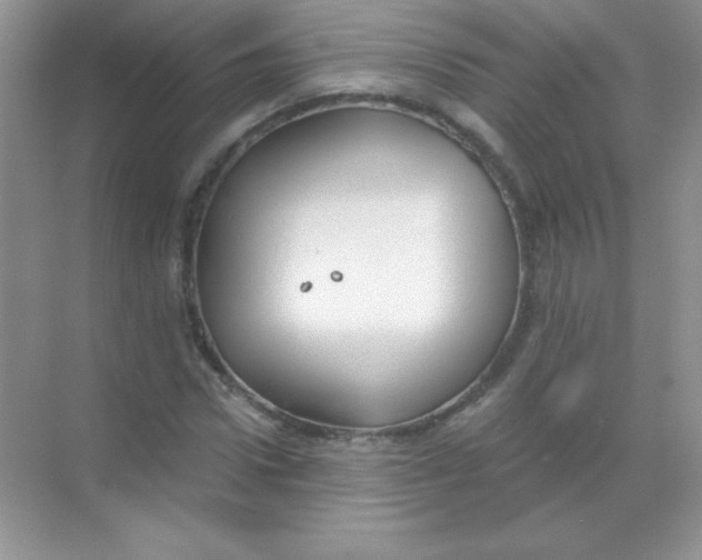 X0000068730922200605192315